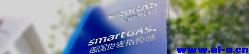 1.smartGAS China).jpg